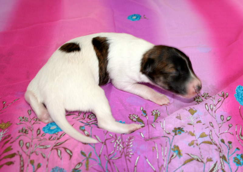 Surf Spots - Girl 1 Turn